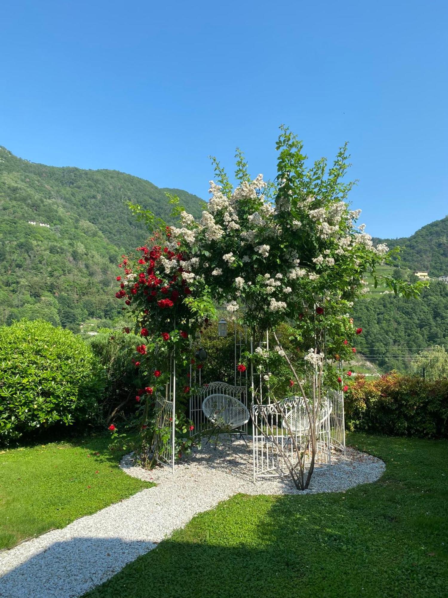 Bed And Breakfast Casa Del Nonno Adrara San Rocco Zewnętrze zdjęcie